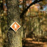 Używki a zdolność podejmowania decyzji za kierownicą.