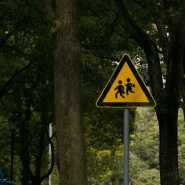 Jakie są nowe metody edukacji dzieci w zakresie bezpieczeństwa na drogach?