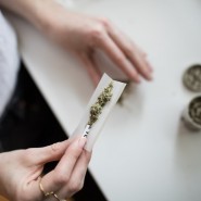 Czy marihuana jest tak niebezpieczna dla kierowców, jak alkohol? Nowe badania naukowe