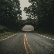 Jak używki wpływają na czas reakcji kierowcy podczas jazdy na autostradzie? Jak używki wpływają na czas reakcji kierowcy podczas jazdy na autostradzie?