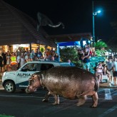Techniki jazdy na odcinkach z ograniczoną widocznością w terenie zabudowanym.